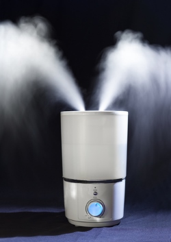Top 6 Best Humidifiers 2019 Reviews Buying Guide